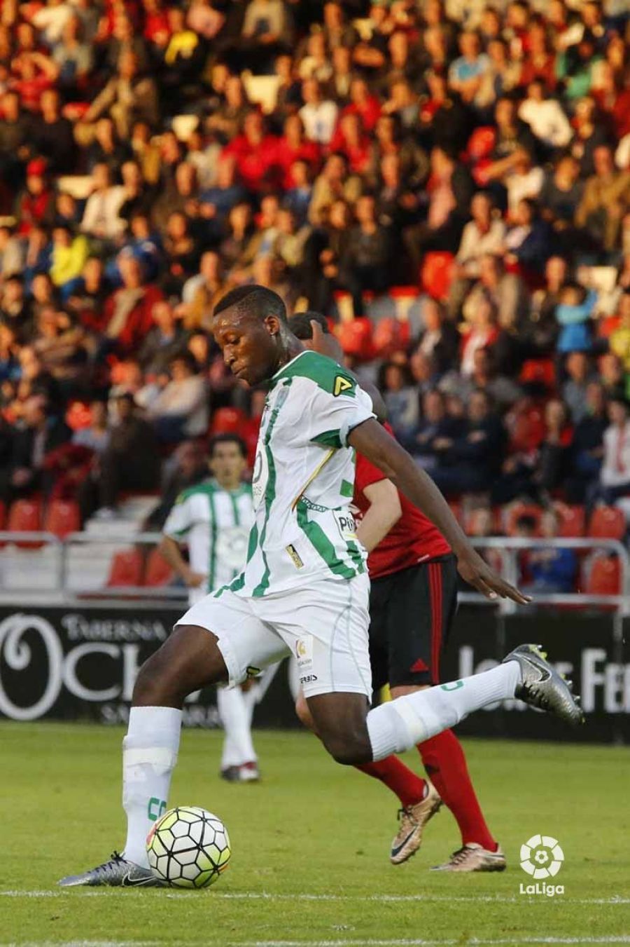 Fotogalería: CD Mirandés - Córdoba CF | LALIGA