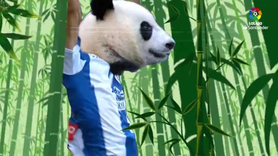 El primer gol del 'Panda' Borja Iglesias en LaLiga Santander | LALIGA