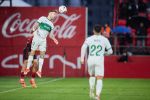 J40_MIRANDES_ELCHE_ 23.jpg