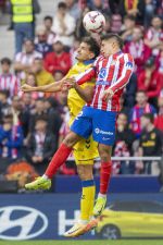 Atl. Madrid - Las Palmas 22.jpg