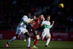 J25_MIRANDES_ELCHE_ 16.jpg