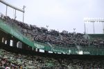 Elche_Castellon_003146221.jpg