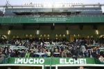 Elche_Castellon_003146213.jpg