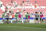 Atl. Madrid - Betis 10.jpg