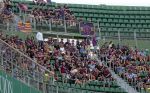 ELCHE - LEVANTE (4).JPG