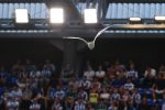 RC Deportivo - Sporting 251.jpg