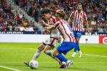 Atl. Madrid - Rayo Vallecano 66.jpg