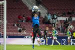 Atl. Madrid - Rayo Vallecano 06.jpg