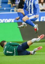 _6MK7343.jpg _6MK7343.jpg