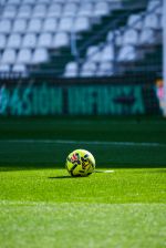 _DSC2283.jpg _DSC2283.jpg