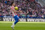Atl. Madrid - Alaves 28.jpg