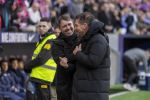 Atl. Madrid - Alaves 13.jpg