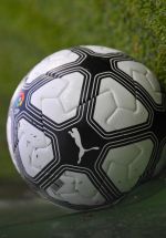 NCS_3349.JPG NCS_3349.JPG