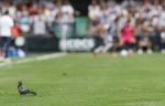 CASTELLON-SABADELL47.JPG