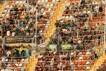 VALENCIA-BETIS13.JPG VALENCIA-BETIS13.JPG
