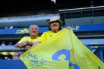 palmas01.jpg palmas01.jpg