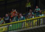 VILLARREAL-BETIS09.JPG VILLARREAL-BETIS09.JPG