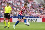 Atl. Madrid - Osasuna 15.jpg