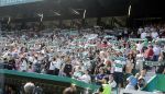 ELCHE - CELTA (8).JPG ELCHE - CELTA (8).JPG