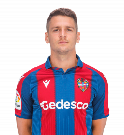 Nemanja Radoja