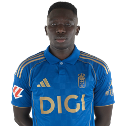 Lamine photo